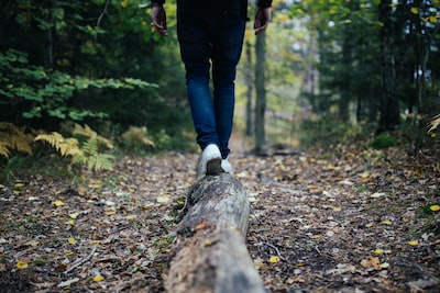 marcher sur un tronc d'abre