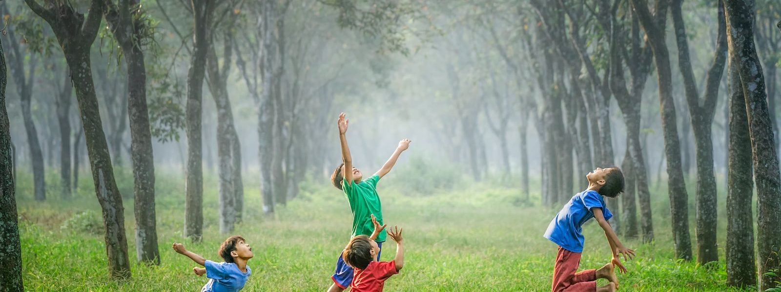 Cconcilier entre les enfants et le sport