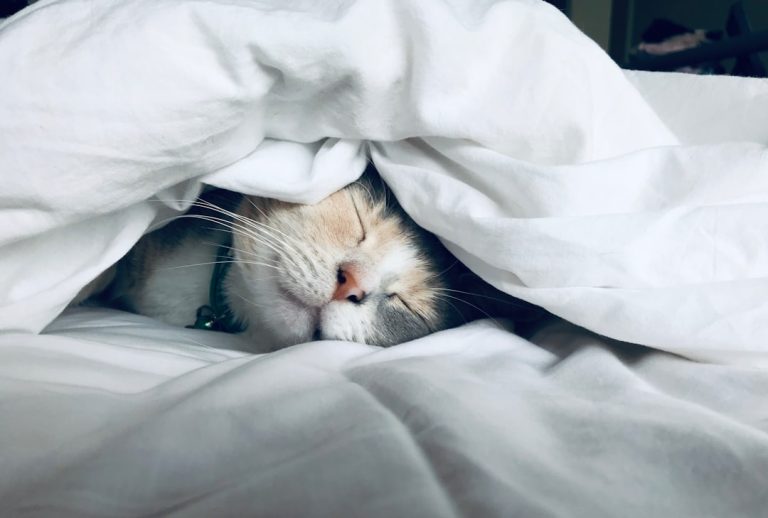 sommeil